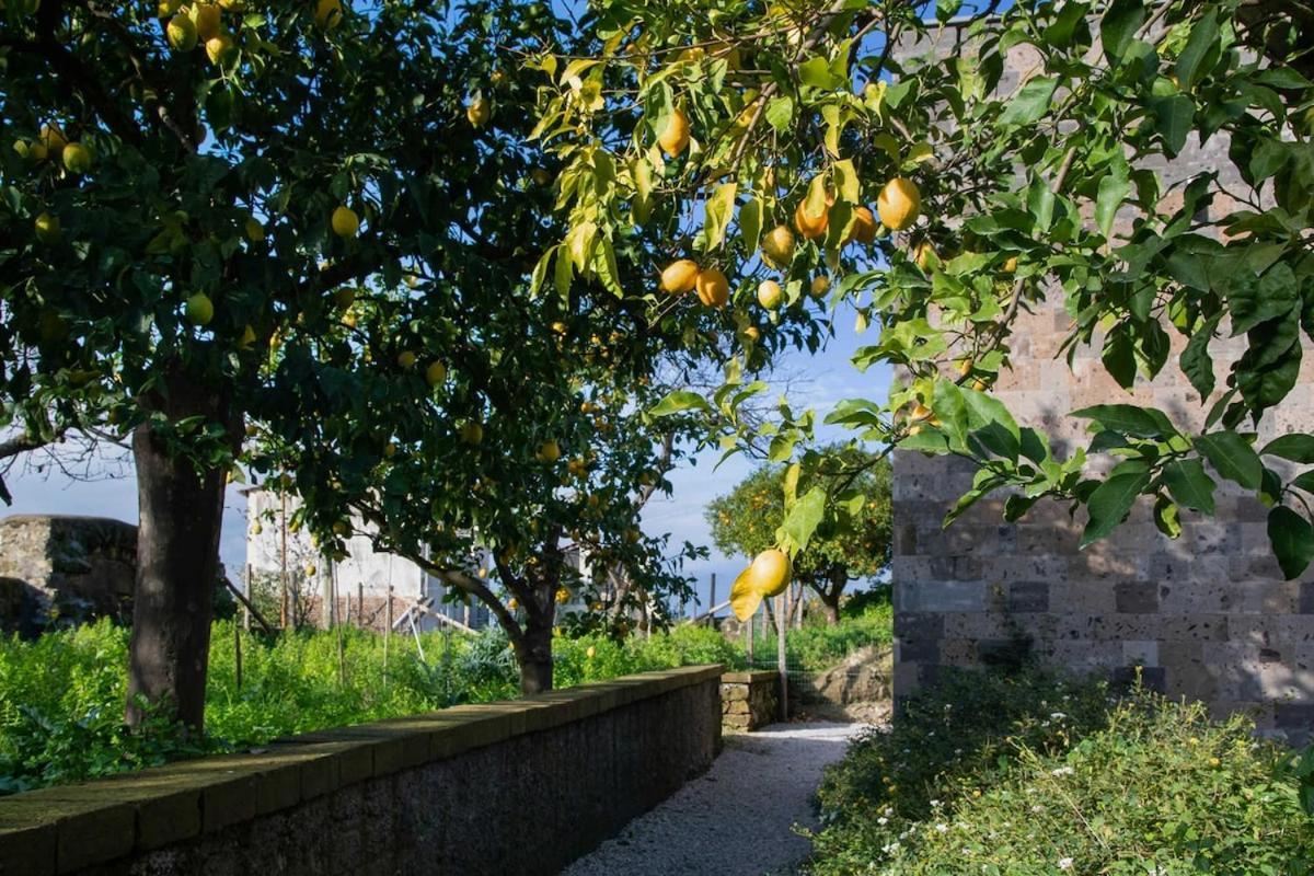 Vila Domus Maresca Sant'Agnello Exteriér fotografie
